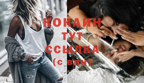 сатива Верхний Тагил
