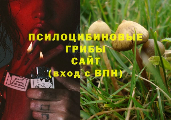 сатива Верхний Тагил