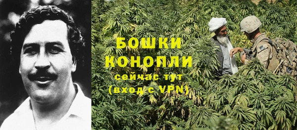 сатива Бугульма