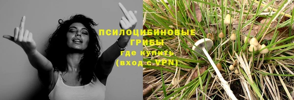 сатива Верхний Тагил
