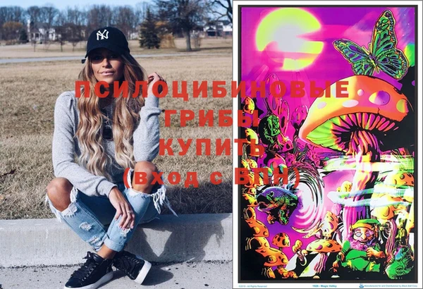 сатива Верхний Тагил